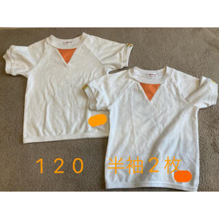 キリン児　120 半袖シャツ ２着(Tシャツ/カットソー)