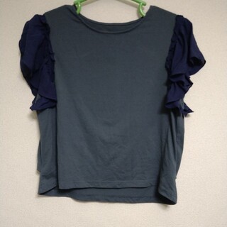 フェリシモ(FELISSIMO)のフェリシモ　3L　(Tシャツ(半袖/袖なし))
