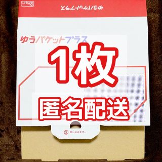 ゆうパケットプラス 専用箱 1枚 クーポン消化 ポイント消化(ラッピング/包装)