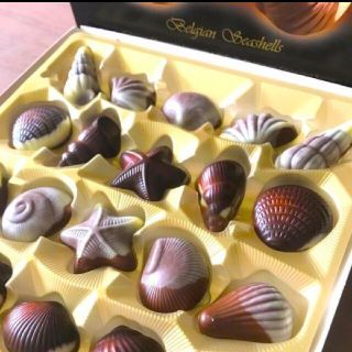 チョコレート(chocolate)のベルギー🇧🇪産　シーシェルチョコレート未開封２０入れ(菓子/デザート)