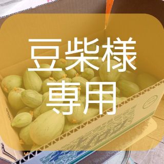 ★豆柴様専用(野菜)