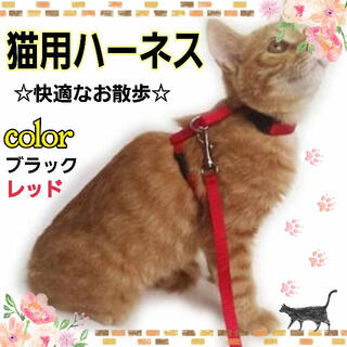 リード ハーネス 猫 カラー ブラック レッド(猫)