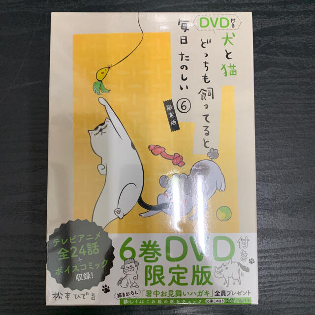 犬と猫どっちも飼ってると毎日たのしい ＤＶＤ付き限定版 ６ 限定版