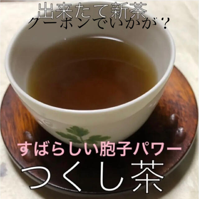 出来たてホヤホヤ★つくし茶★５００ml煮出し用　２g×１０パック 食品/飲料/酒の健康食品(健康茶)の商品写真