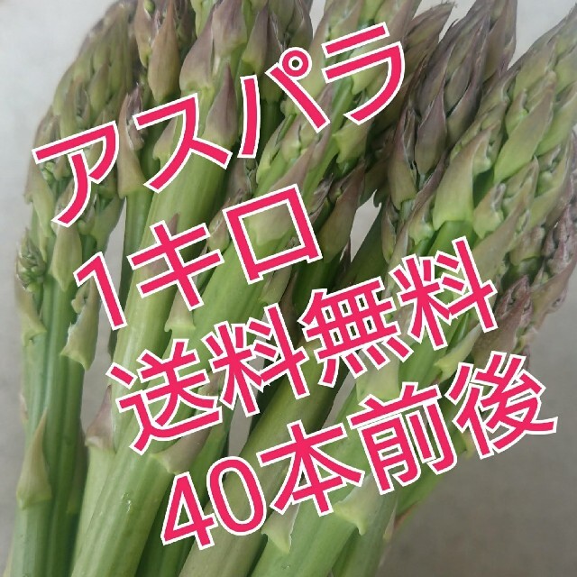 (送料無料)旬の会津産訳ありアスパラ約1キロ30～40本。 食品/飲料/酒の食品(野菜)の商品写真