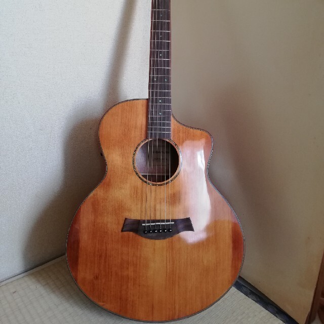 エレアコ　G-DANUBE　アコースティックギター 40インチ フォークギター