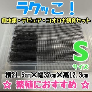 ☆手が汚れない☆ 飼育セット 爬虫類 昆虫類 自作ケージ(爬虫類/両生類用品)