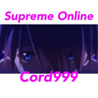 シュプリーム(Supreme)のSupreme Online Cord999(その他)