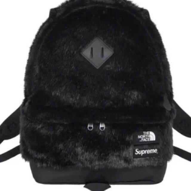 Supreme / The North Face FauxFurBackpack