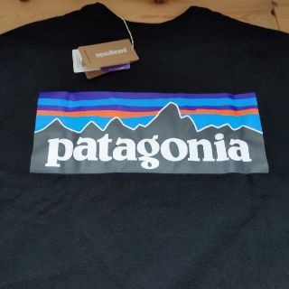 パタゴニア(patagonia)のpatagonia　パタゴニア　レスポンシビリティー　Tシャツ(Tシャツ/カットソー(半袖/袖なし))