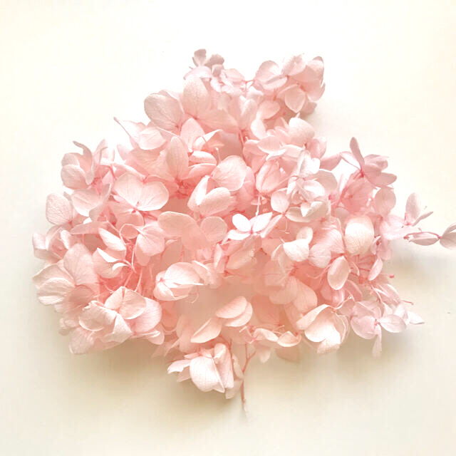 プリザーブドフラワー花材　紫陽花　桜ピンク　5g ハンドメイドのフラワー/ガーデン(プリザーブドフラワー)の商品写真