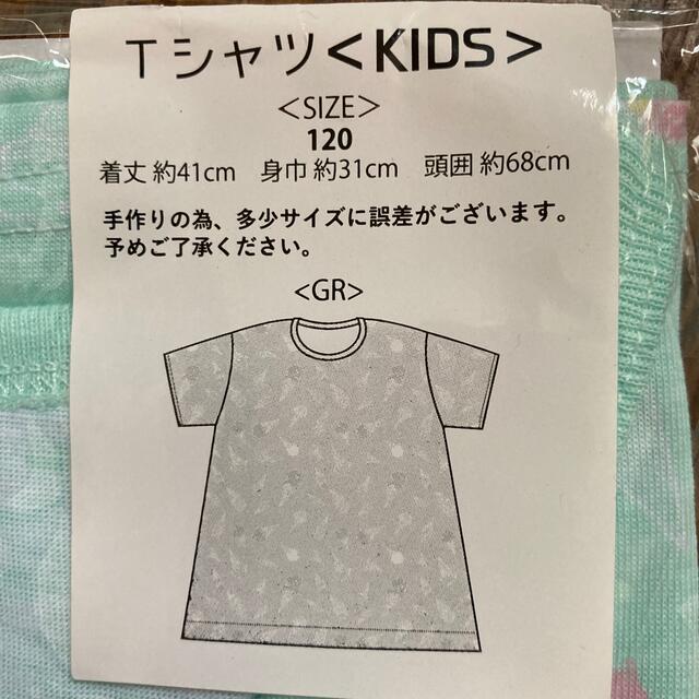 BREEZE(ブリーズ)のTシャツ　セット キッズ/ベビー/マタニティのキッズ服女の子用(90cm~)(Tシャツ/カットソー)の商品写真