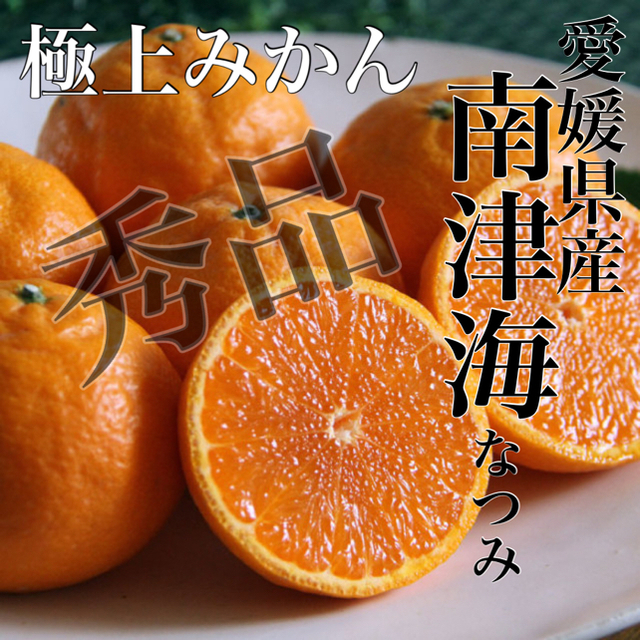 あま〜〜い！！極上みかん【南津海(なつみ)】青秀品 3Lサイズ 5kg 食品/飲料/酒の食品(フルーツ)の商品写真