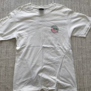 ステューシー(STUSSY)のストゥーシー Tシャツ(Tシャツ/カットソー(半袖/袖なし))