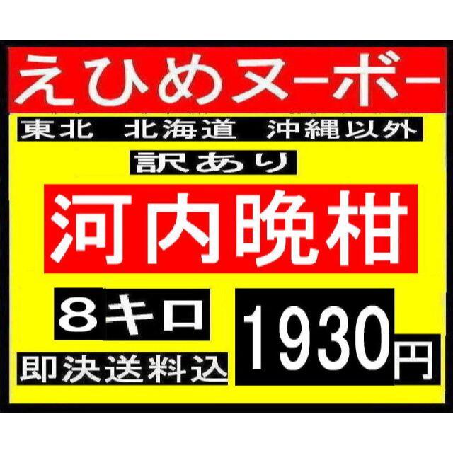 ①えひめヌーボー　訳あり　河内晩柑　8キロ 食品/飲料/酒の食品(フルーツ)の商品写真