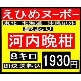 ①えひめヌーボー　訳あり　河内晩柑　8キロ(フルーツ)