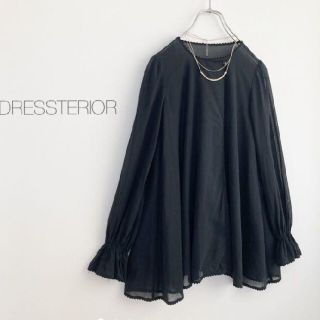 ドレステリア(DRESSTERIOR)のドレステリア　シアーコットンブラウス プルオーバー  シースルー(カットソー(長袖/七分))