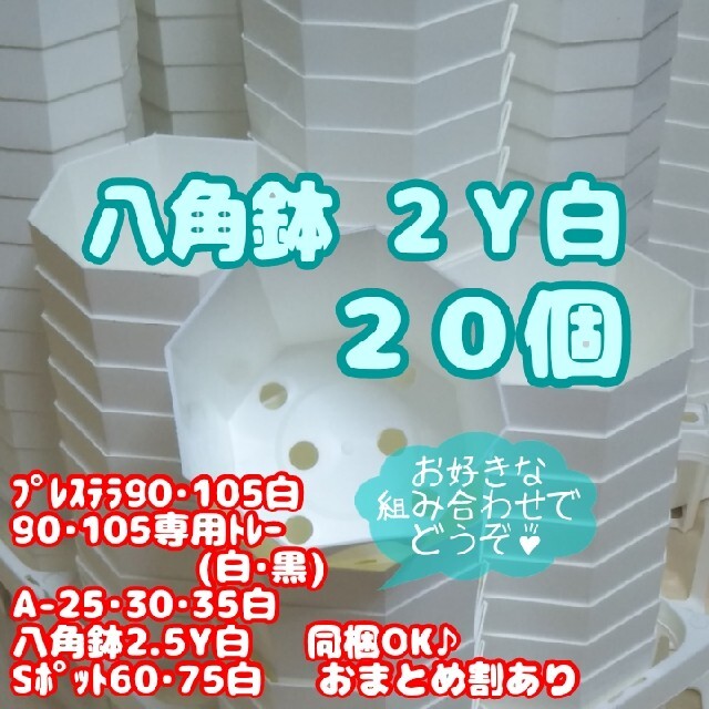 プラ八角鉢 カネヤ【2Y】20個 多肉植物 プレステラ ハンドメイドのフラワー/ガーデン(プランター)の商品写真