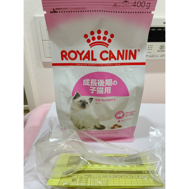 ROYAL CANIN(ロイヤルカナン)のロイヤルカナン（成長後期の子猫用）400g その他のペット用品(ペットフード)の商品写真