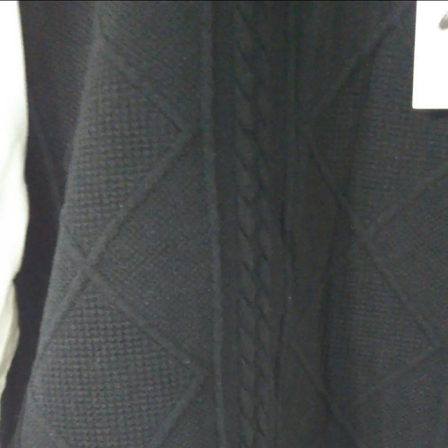 ニット ベスト ブラウス レディースのトップス(シャツ/ブラウス(長袖/七分))の商品写真