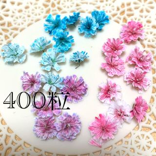 かすみ草400粒（個数金額相談可能）(ドライフラワー)