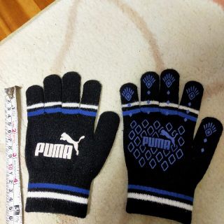 プーマ(PUMA)のプーマ手袋(手袋)