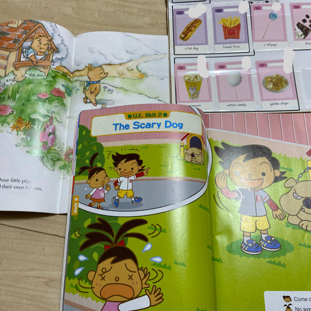 開店記念セール! ECC ファンファンキッズ 英語DVD seedpotatoes.com.au