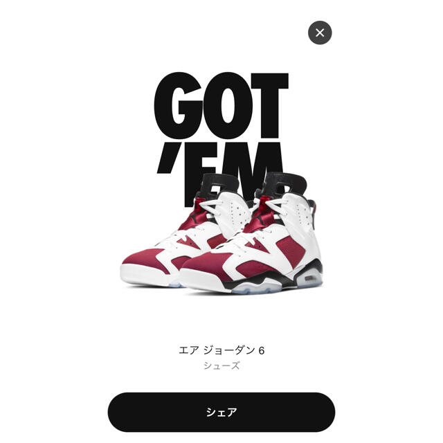 Jordan 6