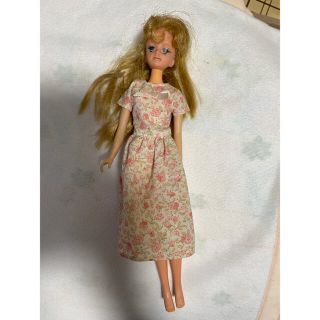 バービー(Barbie)のバービー人形(ぬいぐるみ/人形)