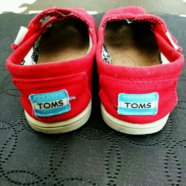 TOMS(トムズ)のTOMS♥15cm キッズ/ベビー/マタニティのキッズ靴/シューズ(15cm~)(スニーカー)の商品写真