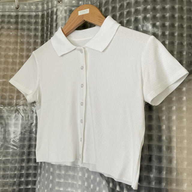 Brandy Melville(ブランディーメルビル)のS ショート丈 ポロシャツ ホワイト 白 トップス タイト レディースのトップス(Tシャツ(半袖/袖なし))の商品写真