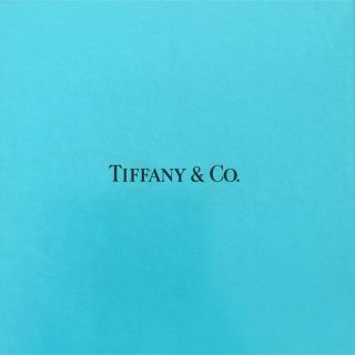 ティファニー(Tiffany & Co.)のティファニー 陶器(食器)