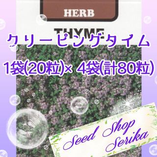 クリーピングタイム20粒 ×4袋(80粒) ハーブ 種(その他)