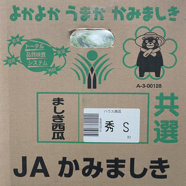 熊本県産【ましき西瓜】2玉入り　箱込み10kg 食品/飲料/酒の食品(フルーツ)の商品写真