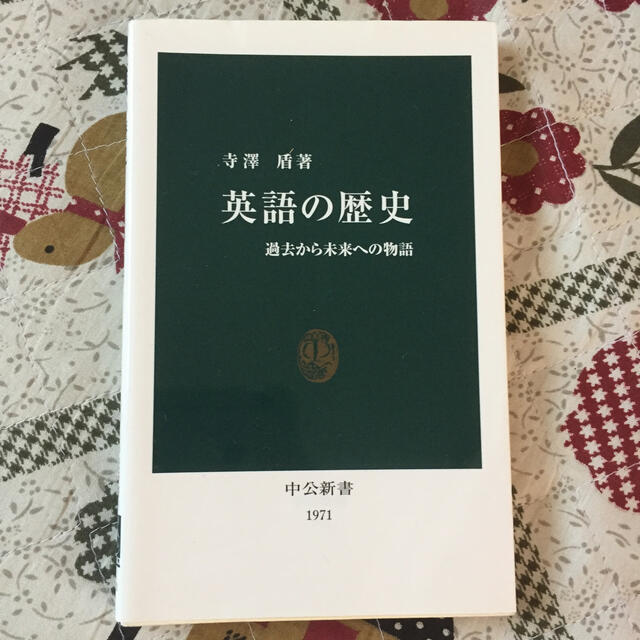 英語の歴史 過去から未来への物語 エンタメ/ホビーの本(文学/小説)の商品写真