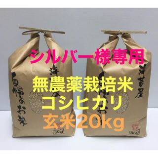 シルバー様専用 無農薬コシヒカリ玄米20kg(5kg×4)令和2年 徳島県産(米/穀物)