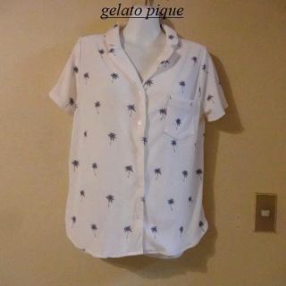 gelato pique - タグ付き未使用gelato pique♡柔らかヤシの木柄パイル
