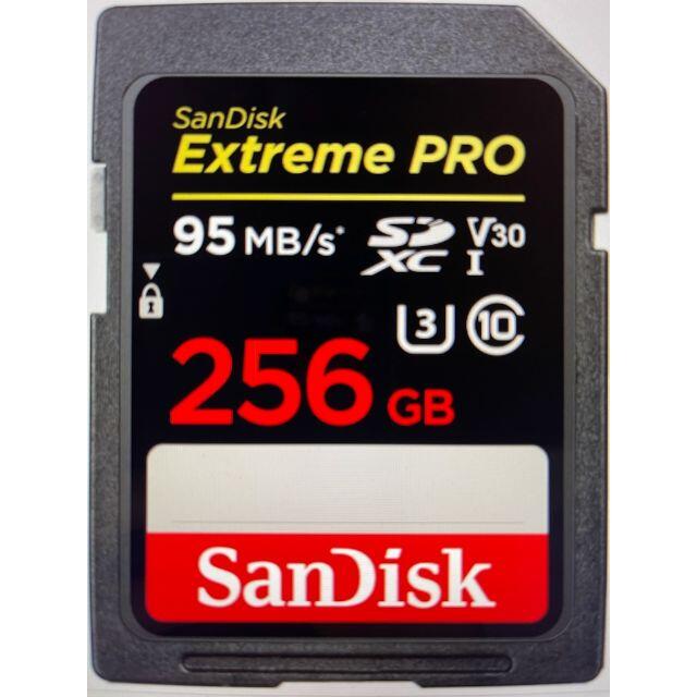 ■SANDISK　SDSDXXG-256G-JNJIP [256GB]