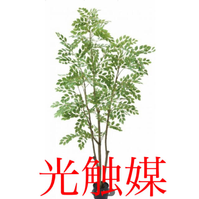 光触媒　人工観葉植物　ウォールグリーン　造花　トネリコ180