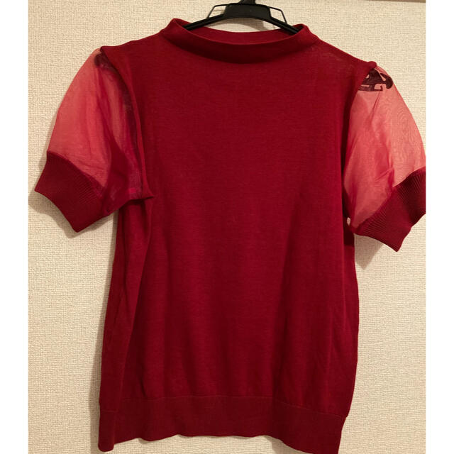 新品 スコットクラブ  フェンネル Tシャツ