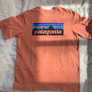 パタゴニア(patagonia)のpatagonia 半袖Tシャツ M(Tシャツ/カットソー(半袖/袖なし))