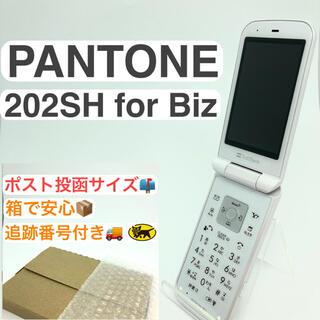 シャープ(SHARP)の液晶美品 PANTONE 202SH for Biz ホワイト 防水ケータイ(携帯電話本体)