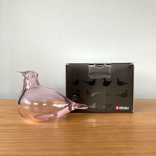 イッタラ(iittala)のイッタラ / Little Tern リトルターン ピンク(置物)