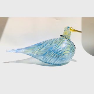 イッタラ(iittala)のはるはる様専用　イッタラ  バード　アニュアル2007  Cloud Tern (置物)