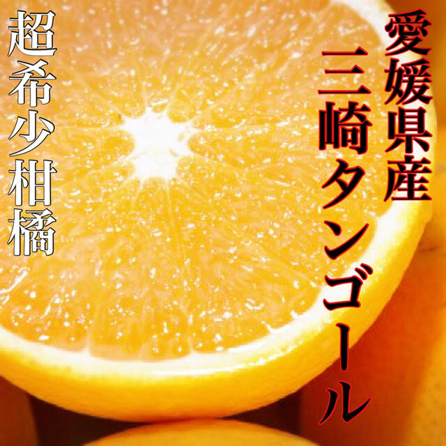 あまあまトロトロ！！酸味少なっ！！【三崎タンゴール】2Lサイズ 5kg 食品/飲料/酒の食品(フルーツ)の商品写真