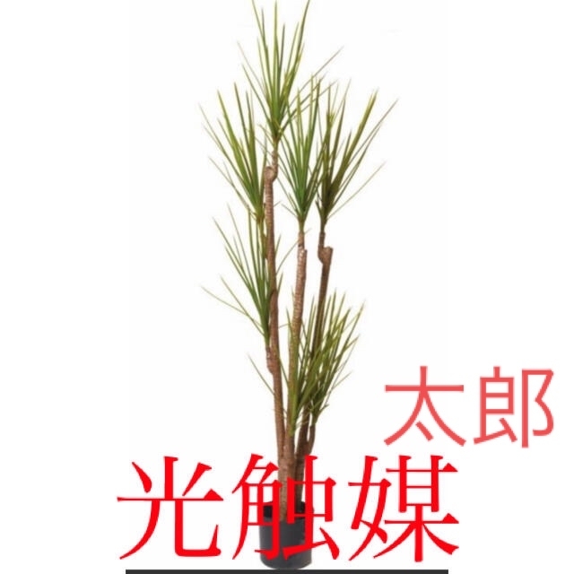通販人気商品 光触媒 人工観葉植物 ウォールグリーン 造花 インテリア