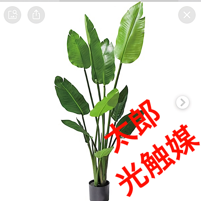 光触媒 人工観葉植物 ウォールグリーン フェイクグリーン トラベル