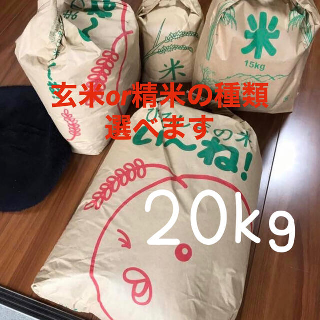 農家直送の美味しいお米 令和2年度産 ヒノヒカリ 20キロ米/穀物