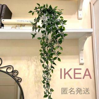 イケア(IKEA)の【新品】IKEA イケア フェイクグリーン （フェイカ）☆(その他)