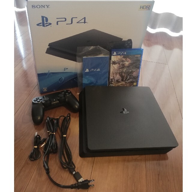 PlayStation4 - 【ソフト付】PlayStation4 CUH-2100A 本体  500GB